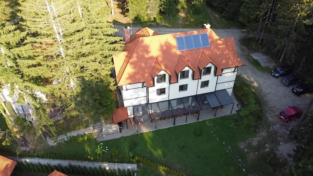 Berghof Eva - Hotel Panichishte Εξωτερικό φωτογραφία