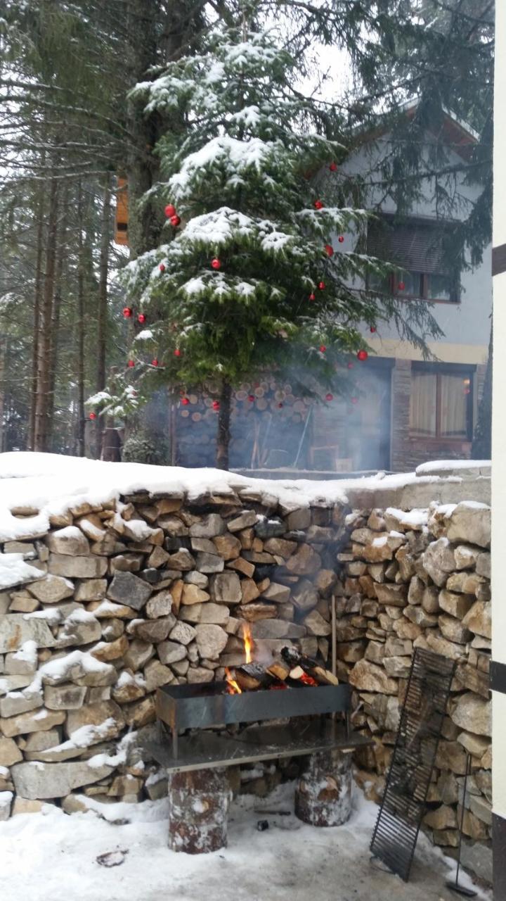 Berghof Eva - Hotel Panichishte Εξωτερικό φωτογραφία